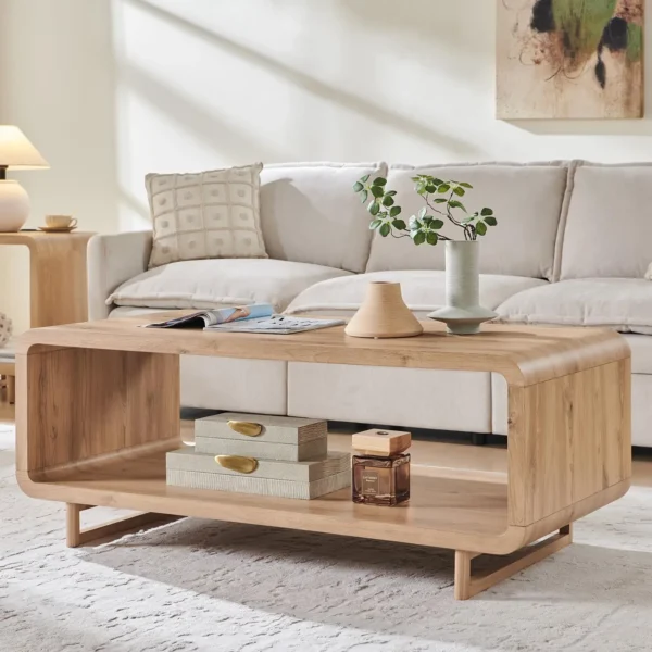 Modern Coffee Table with Storage